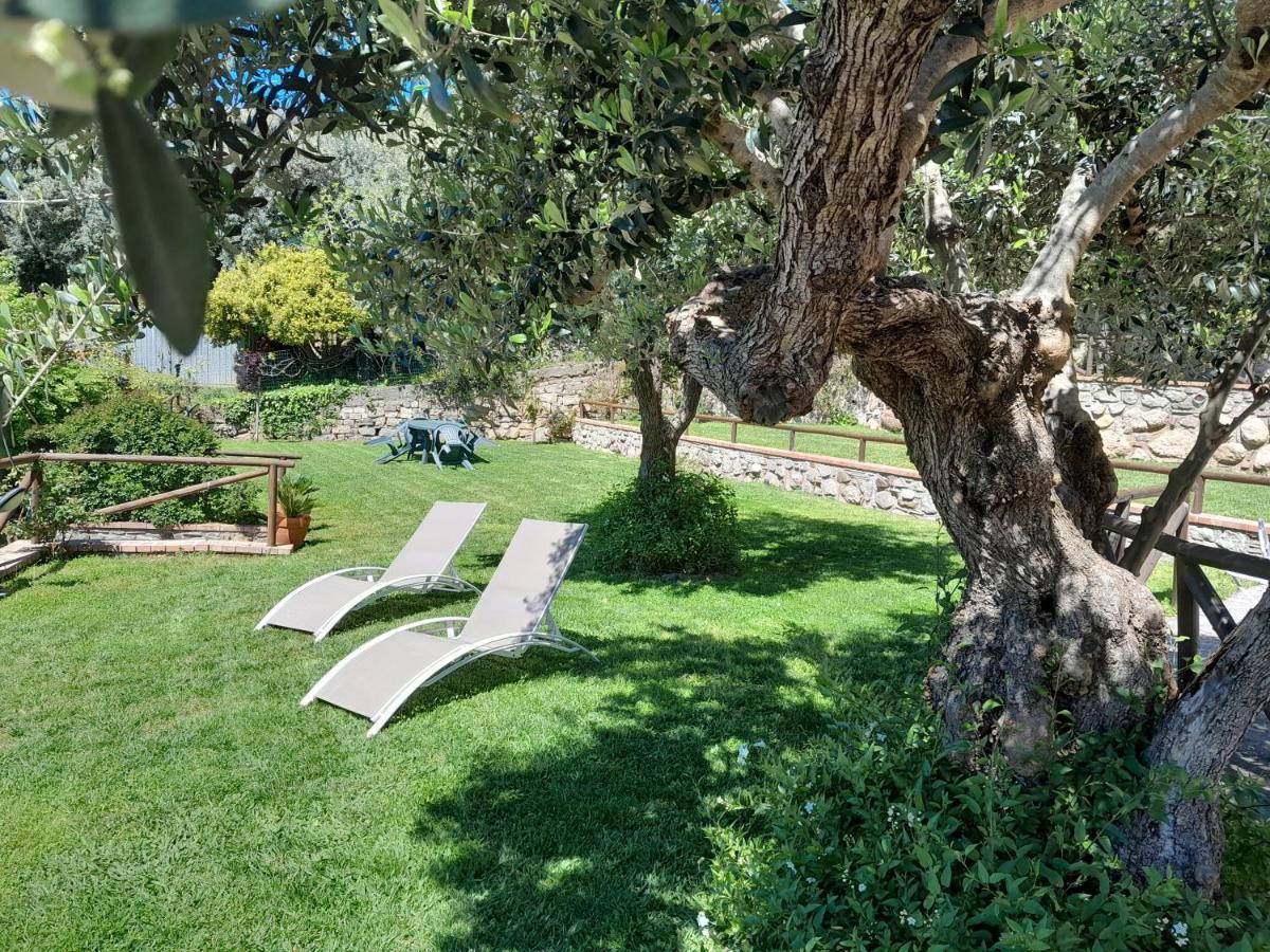 Vila Casa Vacanze Dominella Marina Di Casal Velino Exteriér fotografie